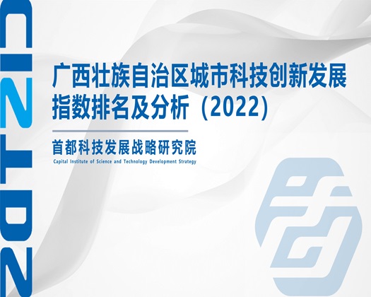 操B网站在线看【成果发布】广西壮族自治区城市科技创新发展指数排名及分析（2022）